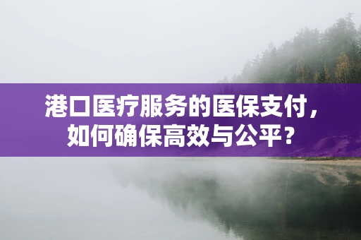 港口医疗服务的医保支付，如何确保高效与公平？