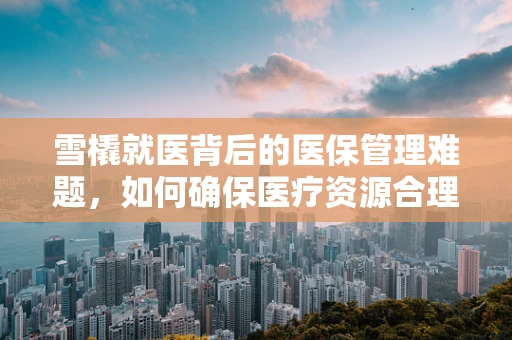 雪橇就医背后的医保管理难题，如何确保医疗资源合理分配？