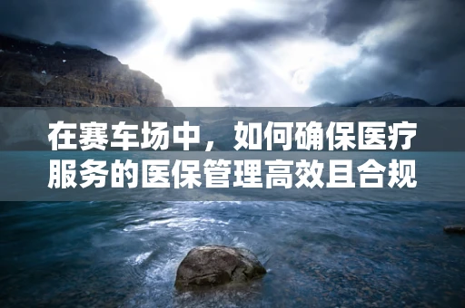 在赛车场中，如何确保医疗服务的医保管理高效且合规？