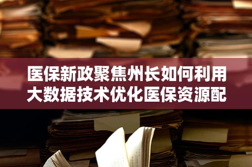 医保新政聚焦州长如何利用大数据技术优化医保资源配置？