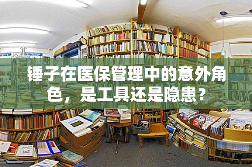 锤子在医保管理中的意外角色，是工具还是隐患？
