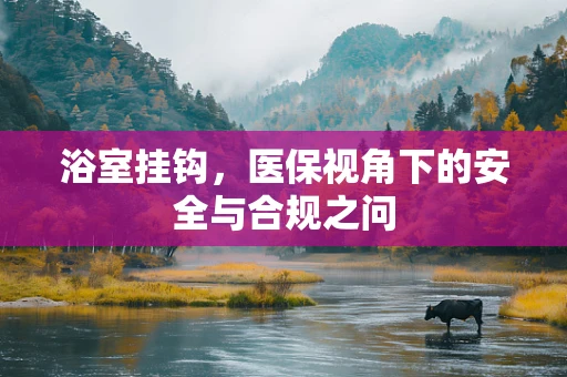 浴室挂钩，医保视角下的安全与合规之问