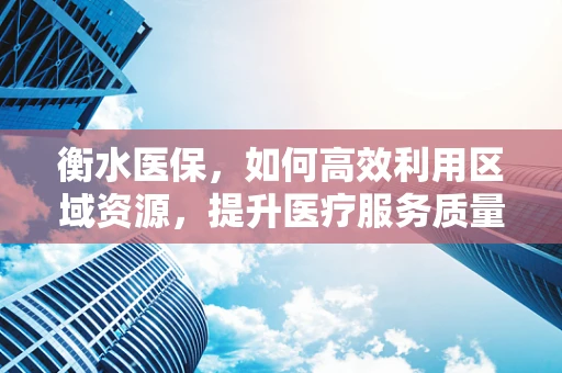 衡水医保，如何高效利用区域资源，提升医疗服务质量？