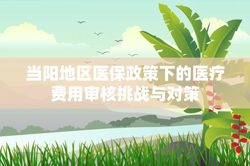 当阳地区医保政策下的医疗费用审核挑战与对策