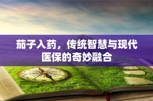 茄子入药，传统智慧与现代医保的奇妙融合