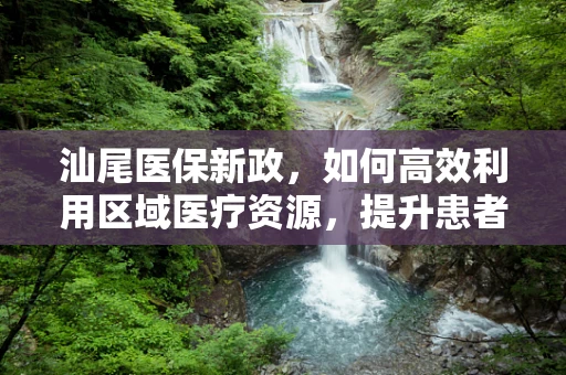 汕尾医保新政，如何高效利用区域医疗资源，提升患者就医体验？