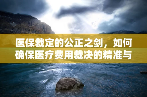 医保裁定的公正之剑，如何确保医疗费用裁决的精准与公平？