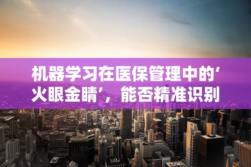 机器学习在医保管理中的‘火眼金睛’，能否精准识别欺诈行为？