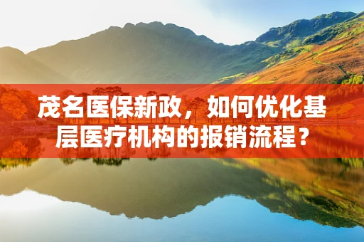 茂名医保新政，如何优化基层医疗机构的报销流程？