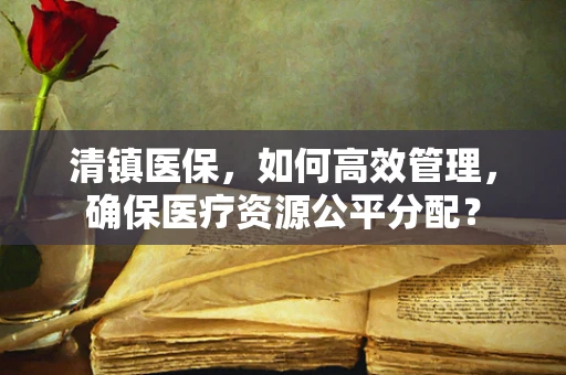 清镇医保，如何高效管理，确保医疗资源公平分配？