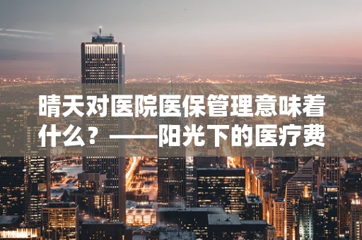 晴天对医院医保管理意味着什么？——阳光下的医疗费用审核与患者便利性