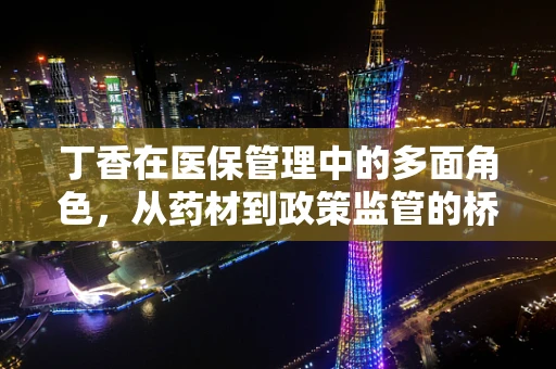 丁香在医保管理中的多面角色，从药材到政策监管的桥梁