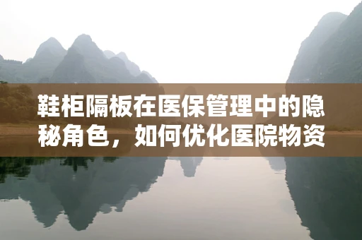 鞋柜隔板在医保管理中的隐秘角色，如何优化医院物资存储与成本控制？