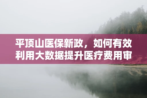 平顶山医保新政，如何有效利用大数据提升医疗费用审核效率？