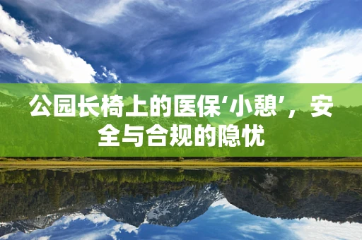公园长椅上的医保‘小憩’，安全与合规的隐忧