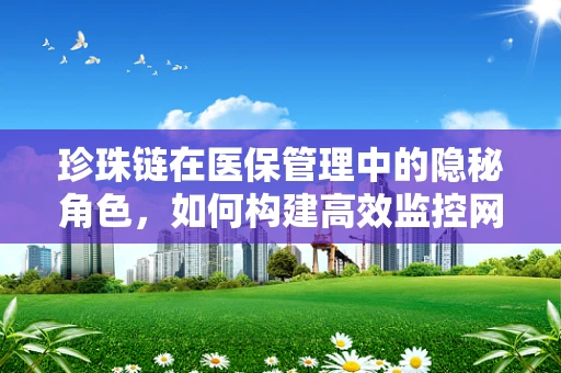 珍珠链在医保管理中的隐秘角色，如何构建高效监控网络？