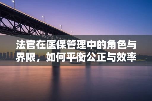 法官在医保管理中的角色与界限，如何平衡公正与效率？