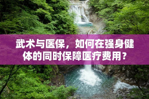 武术与医保，如何在强身健体的同时保障医疗费用？