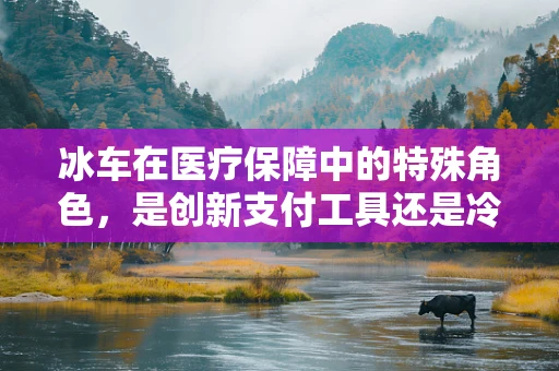 冰车在医疗保障中的特殊角色，是创新支付工具还是冷门医疗辅助？