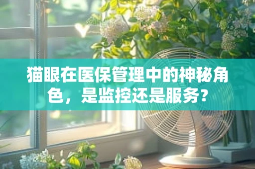 猫眼在医保管理中的神秘角色，是监控还是服务？