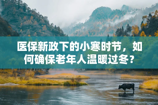 医保新政下的小寒时节，如何确保老年人温暖过冬？