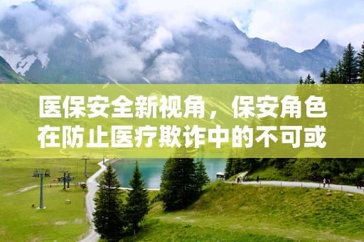 医保安全新视角，保安角色在防止医疗欺诈中的不可或缺性