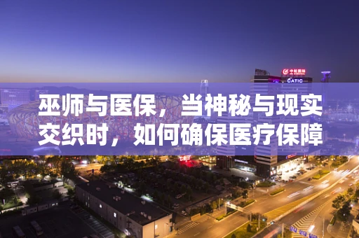 巫师与医保，当神秘与现实交织时，如何确保医疗保障的公平与效率？