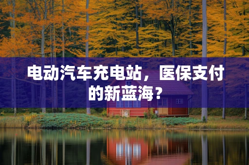 电动汽车充电站，医保支付的新蓝海？
