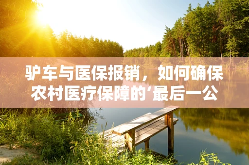 驴车与医保报销，如何确保农村医疗保障的‘最后一公里’？