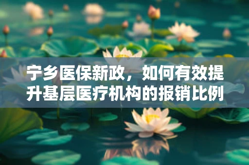 宁乡医保新政，如何有效提升基层医疗机构的报销比例？