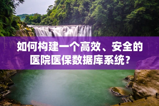 如何构建一个高效、安全的医院医保数据库系统？