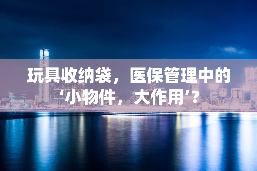 玩具收纳袋，医保管理中的‘小物件，大作用’？