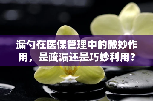 漏勺在医保管理中的微妙作用，是疏漏还是巧妙利用？