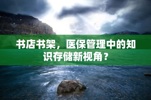 书店书架，医保管理中的知识存储新视角？