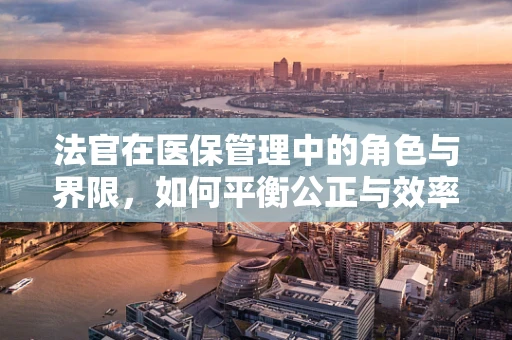 法官在医保管理中的角色与界限，如何平衡公正与效率？
