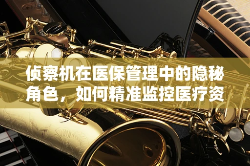 侦察机在医保管理中的隐秘角色，如何精准监控医疗资源使用？
