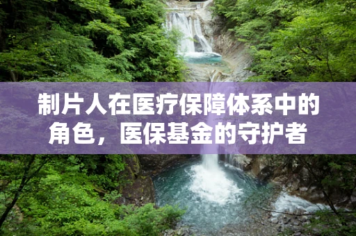 制片人在医疗保障体系中的角色，医保基金的守护者