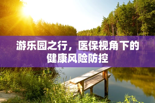 游乐园之行，医保视角下的健康风险防控