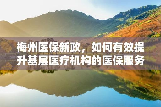 梅州医保新政，如何有效提升基层医疗机构的医保服务水平？