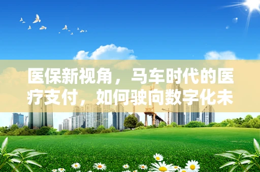 医保新视角，马车时代的医疗支付，如何驶向数字化未来？