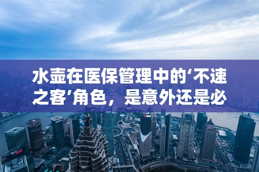 水壶在医保管理中的‘不速之客’角色，是意外还是必要？
