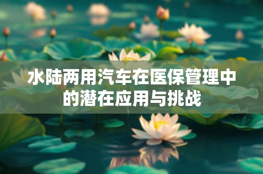 水陆两用汽车在医保管理中的潜在应用与挑战