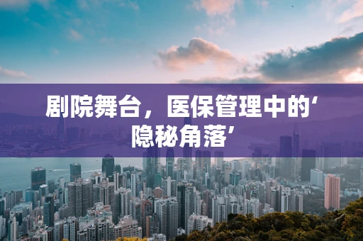剧院舞台，医保管理中的‘隐秘角落’