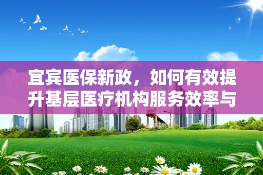 宜宾医保新政，如何有效提升基层医疗机构服务效率与质量？