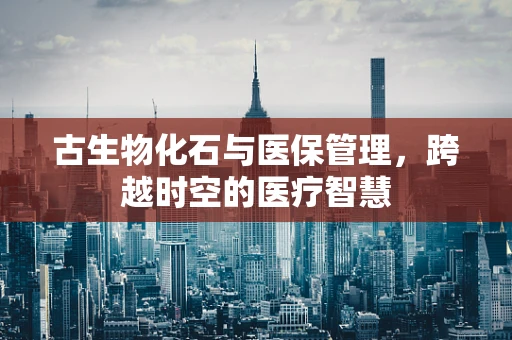 古生物化石与医保管理，跨越时空的医疗智慧