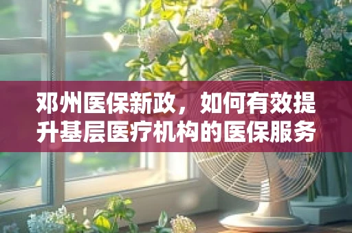 邓州医保新政，如何有效提升基层医疗机构的医保服务效率？
