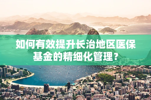 如何有效提升长治地区医保基金的精细化管理？
