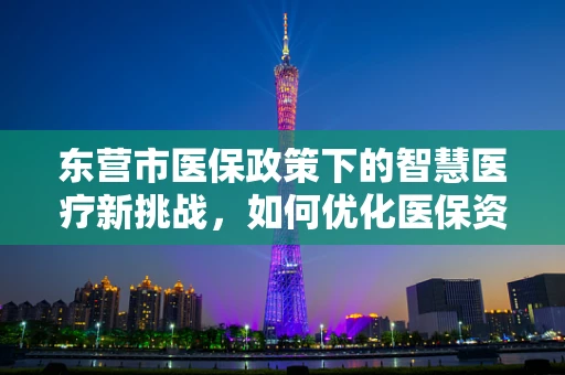 东营市医保政策下的智慧医疗新挑战，如何优化医保资源分配？