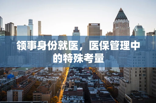 领事身份就医，医保管理中的特殊考量