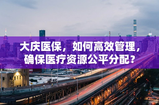 大庆医保，如何高效管理，确保医疗资源公平分配？